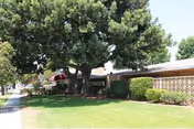 A single-story building with a flat roof partially obscured by a large tree and well-maintained bushes. The building is surrounded by a green lawn and a sidewalk runs alongside it under a clear sky.