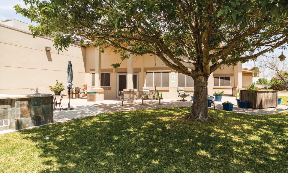 Outdoor patio area at Brayden Park Assisted Living & Memory Care featuring a large tree providing shade over a grassy lawn, several chairs and benches arranged on a concrete patio, potted plants, and a building with beige walls and multiple windows in the background.