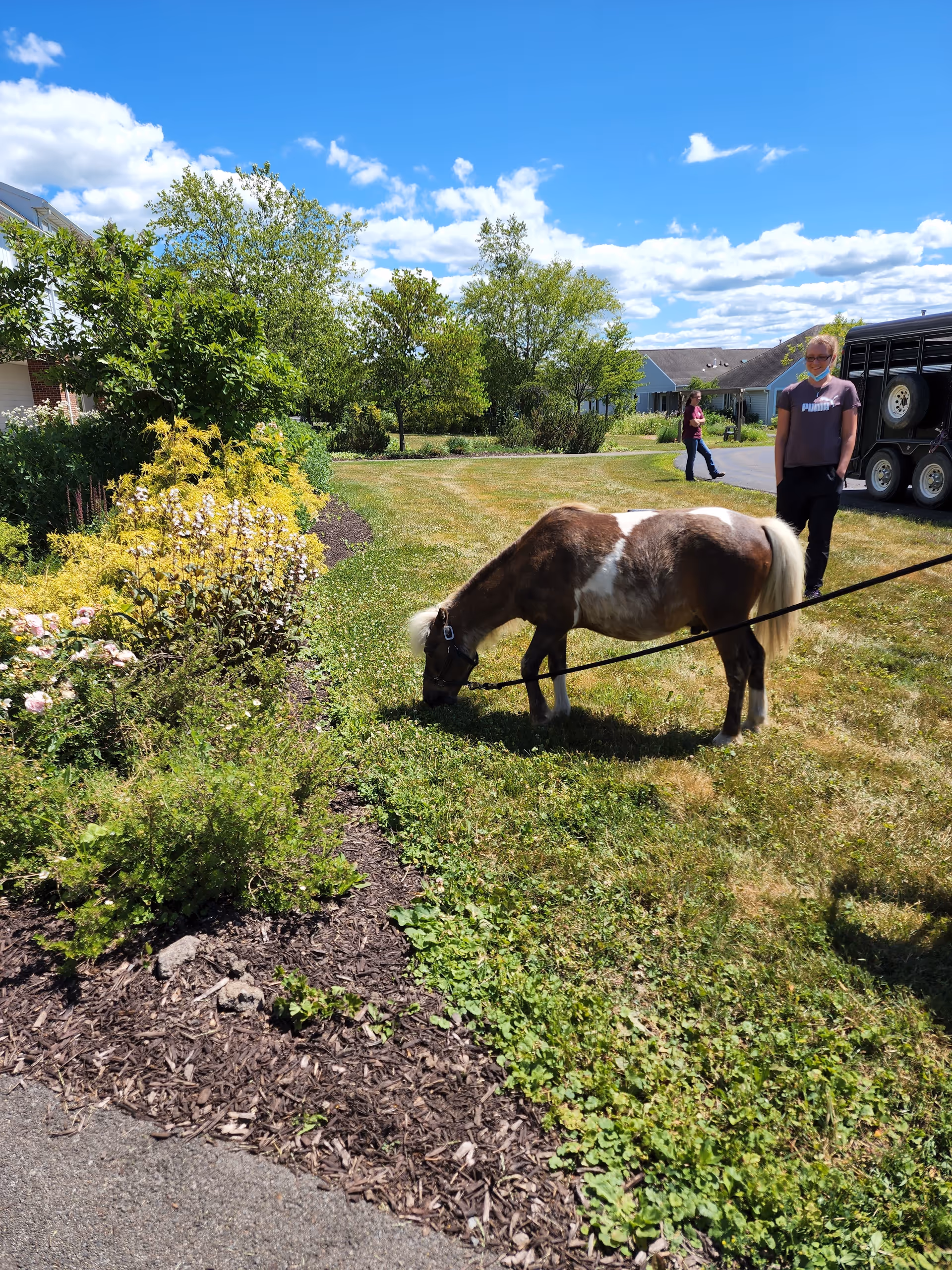 A small brown and white pony grazing on grass in a garden area with bushes and flowers. Two people are standing nearby, one closer to the pony wearing a mask and a Puma t-shirt, and another person walking in the background. The scene is outdoors with a bright blue sky and scattered clouds.