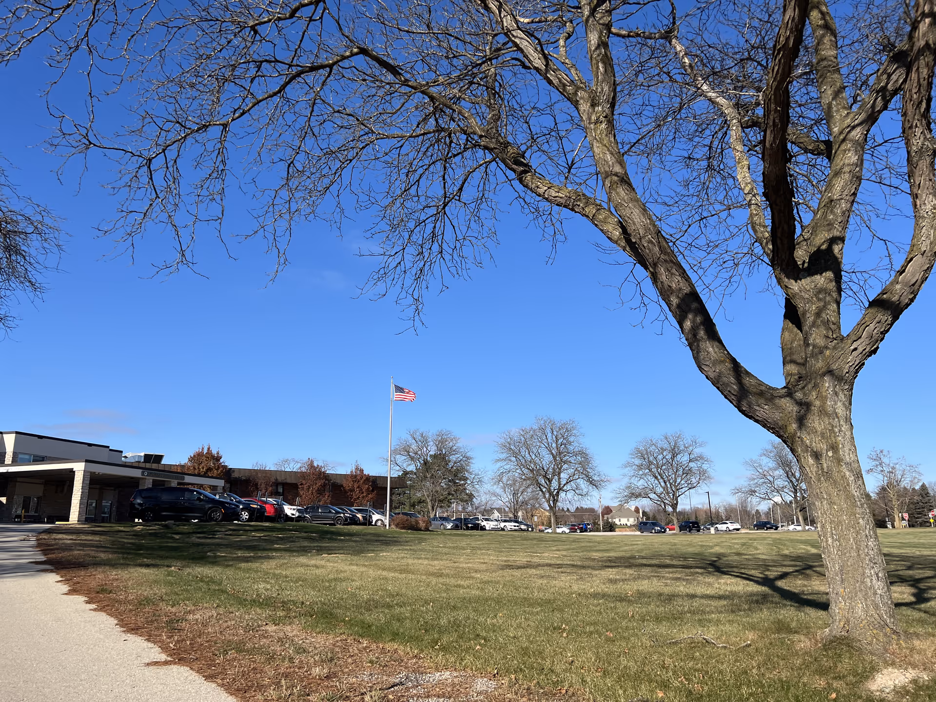 Large lawn and leafless tree in front of an assisted living building with parked cars and an American flag under a clear blue sky.