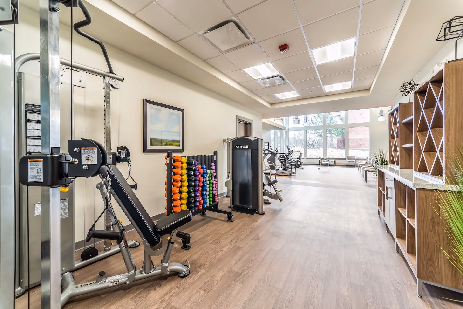 Bright fitness room with weight machines, a colorful dumbbell rack, cardio equipment and large windows.