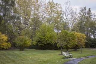 A peaceful outdoor area with green grass, several trees with green and yellow leaves, a curved paved pathway, and a white bench along the path.