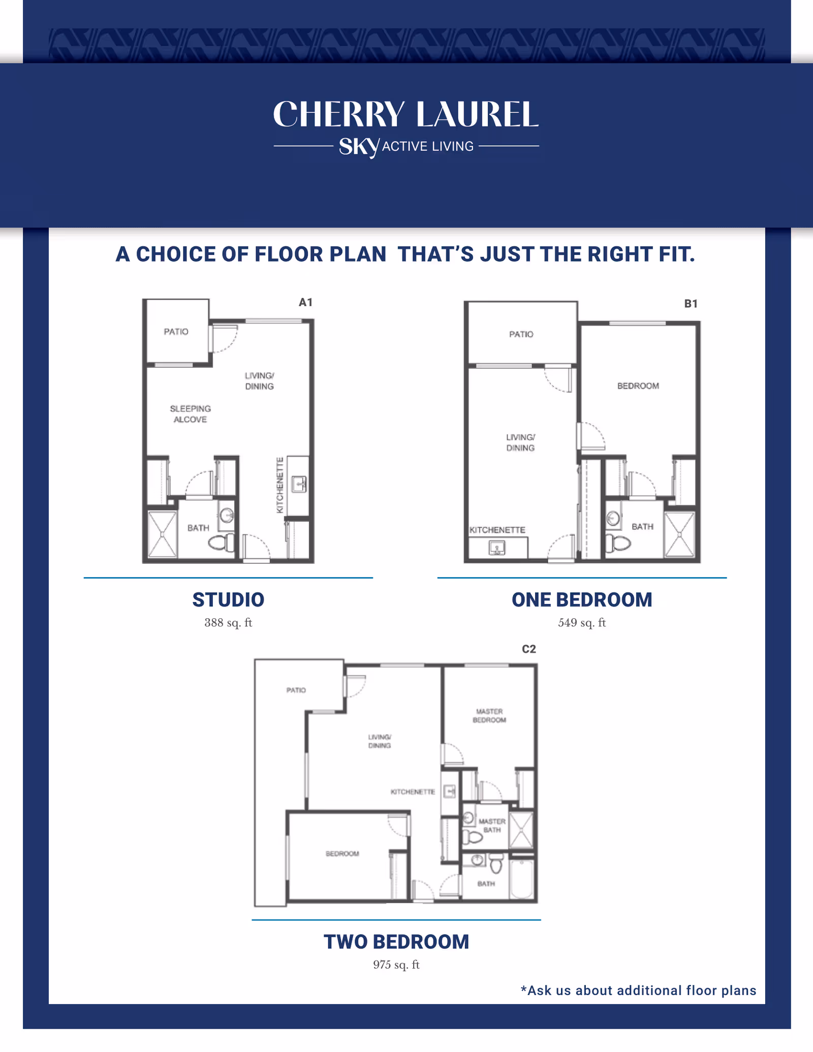 Floor plan options for Cherry Laurel - Sky Active Living, showing layouts for Studio (388 sq. ft), One Bedroom (549 sq. ft), and Two Bedroom (975 sq. ft) apartments. Each plan includes labeled areas such as patio, living/dining, kitchenette, bedrooms, and bathrooms.