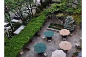 Outdoor patio area with several tables and chairs, some tables shaded by umbrellas in green, beige, and white colors. The patio is surrounded by greenery including bushes and trees, with a parking lot visible beyond the greenery.