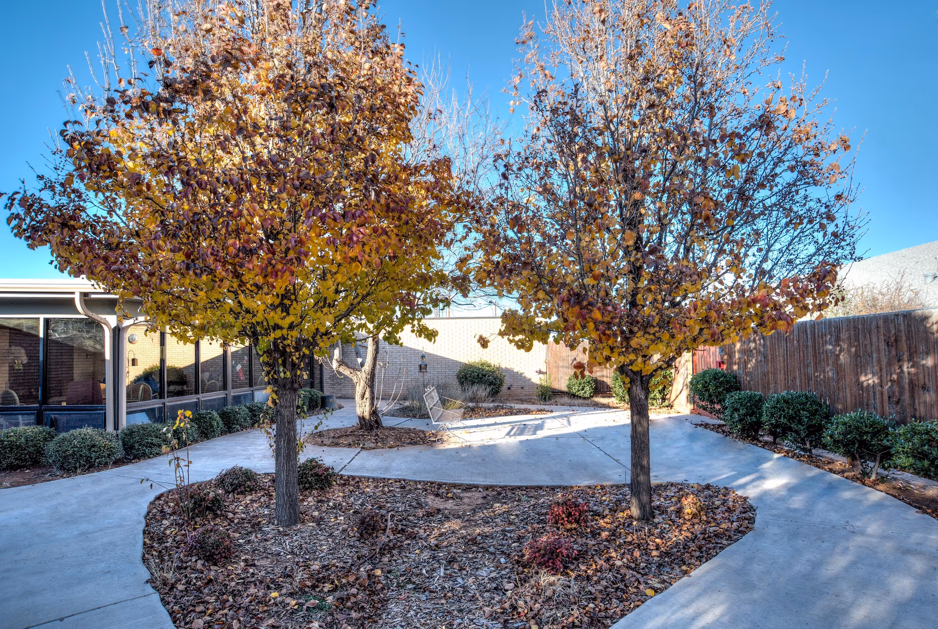 Outdoor courtyard area with two trees displaying autumn foliage, surrounded by a curved concrete walkway. There are bushes along the edges and a wooden fence on the right side. The building with large windows is visible on the left side under a clear blue sky.