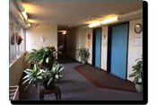Carpeted interior hallway with potted plants and elevator doors along a corridor.