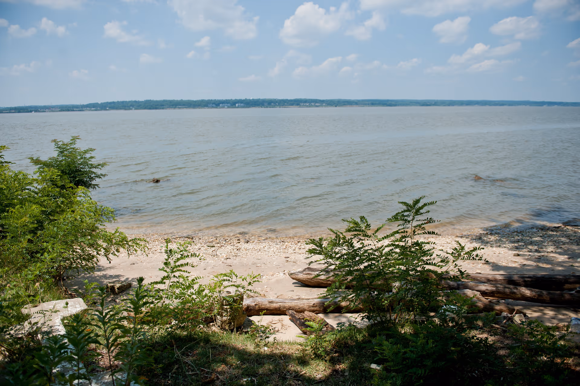 A peaceful shoreline with green bushes and logs in the foreground, a sandy and rocky beach, calm water extending to the horizon, and a partly cloudy sky above.