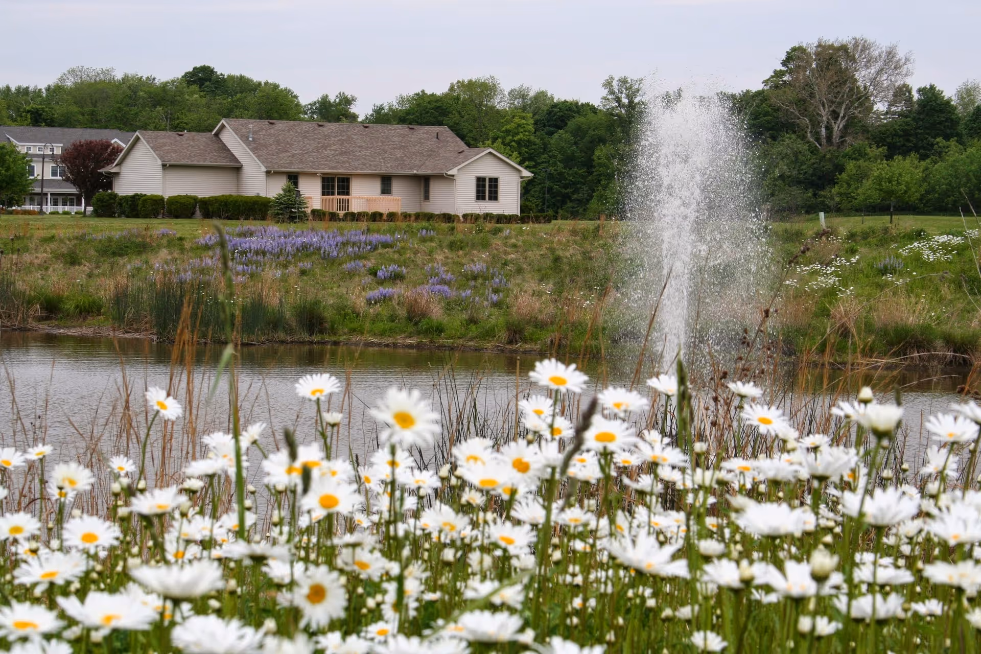 A scenic view of a senior living facility beside a pond, surrounded by flowers.