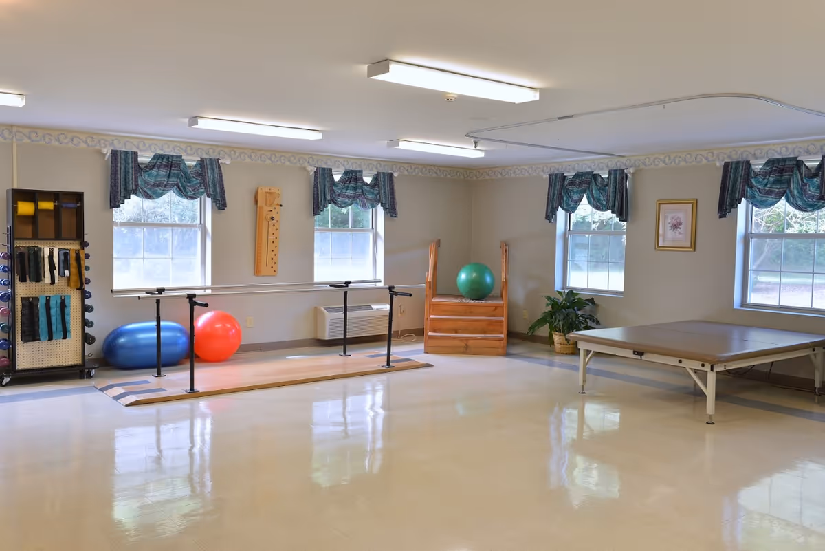 A spacious exercise room with large windows covered by blue patterned valances. The room contains exercise equipment including a rack with weights and resistance bands, two large exercise balls (one blue and one red), parallel bars for walking support, a wooden step platform with a green exercise ball on top, and a padded therapy table. The floor is shiny and light-colored, and the walls are decorated with a framed picture and a plant in the corner.