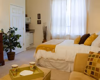 Sunny bedroom with a neatly made bed, sofa and tray, potted plant, and a small kitchenette area by a door.