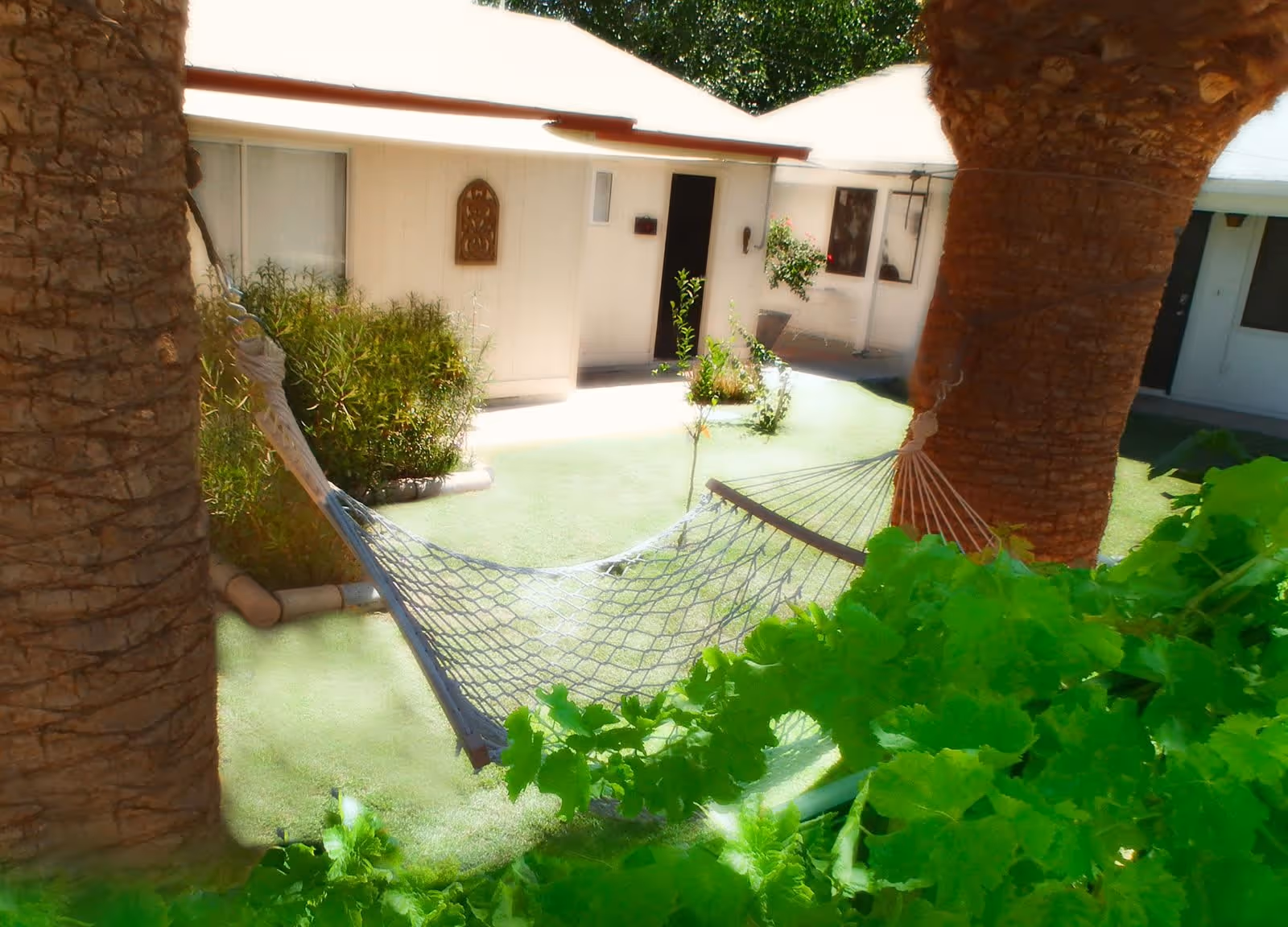Outdoor courtyard area with a hammock tied between two palm trees, surrounded by green plants and bushes. In the background, there are single-story white buildings with doors and windows, and a small garden area with shrubs and flowers.