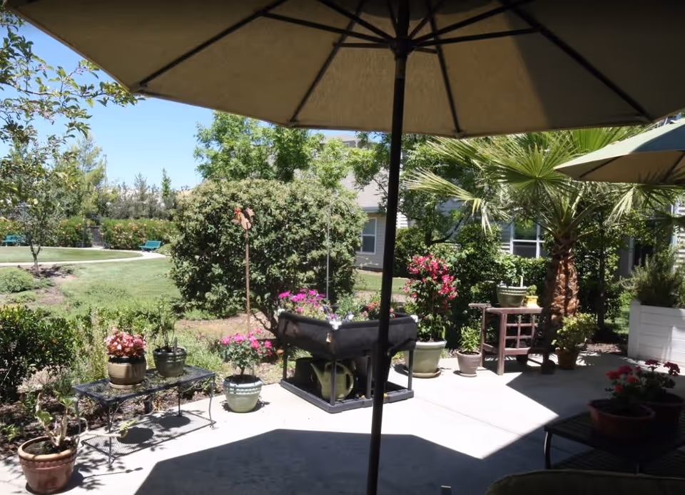 Outdoor patio area with large umbrellas providing shade over potted plants and garden furniture. Surrounding the patio are various green shrubs, flowering plants, and trees, including a palm tree. In the background, there is a grassy area with a walking path and benches, and a building partially visible behind the greenery.