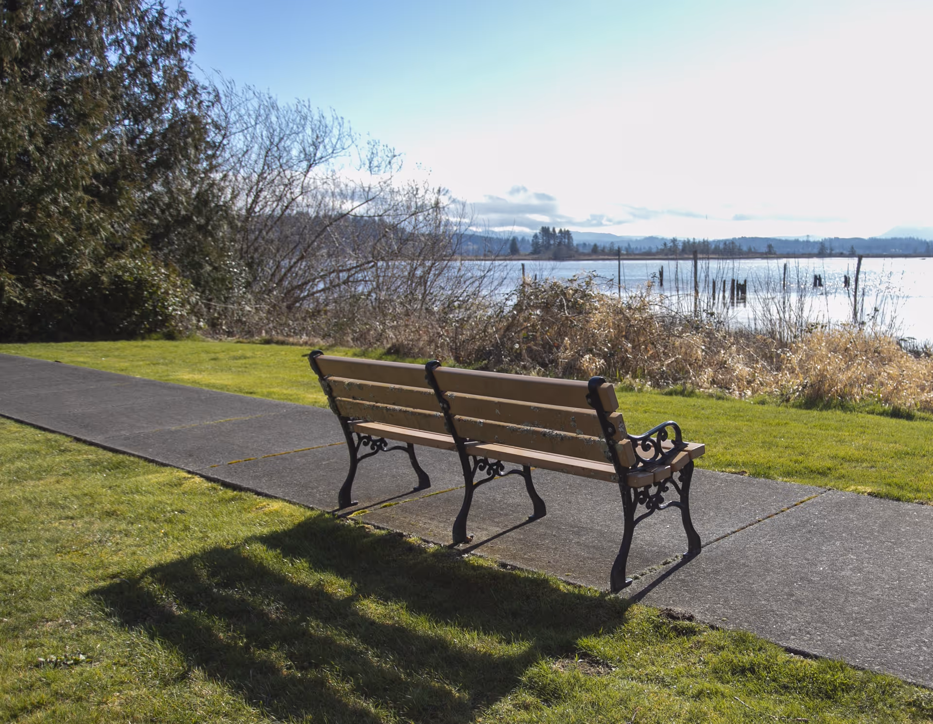 A wooden park bench on a paved path facing a lake with grass and trees along the shoreline.