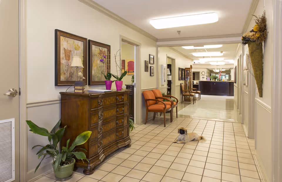 A well-lit hallway in a nursing and rehab center with tiled flooring, a wooden chest of drawers adorned with potted plants and framed artwork above it, two orange chairs along the wall, and a small dog lying on the floor. The hallway leads to a reception desk area in the background.