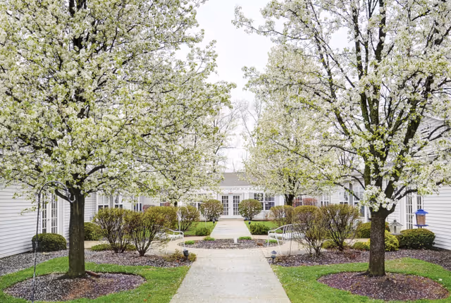 A peaceful outdoor courtyard area at DeWolfe Place featuring a paved walkway lined with blooming trees and neatly trimmed bushes. White benches are placed along the path, and the courtyard is surrounded by white buildings with large windows.