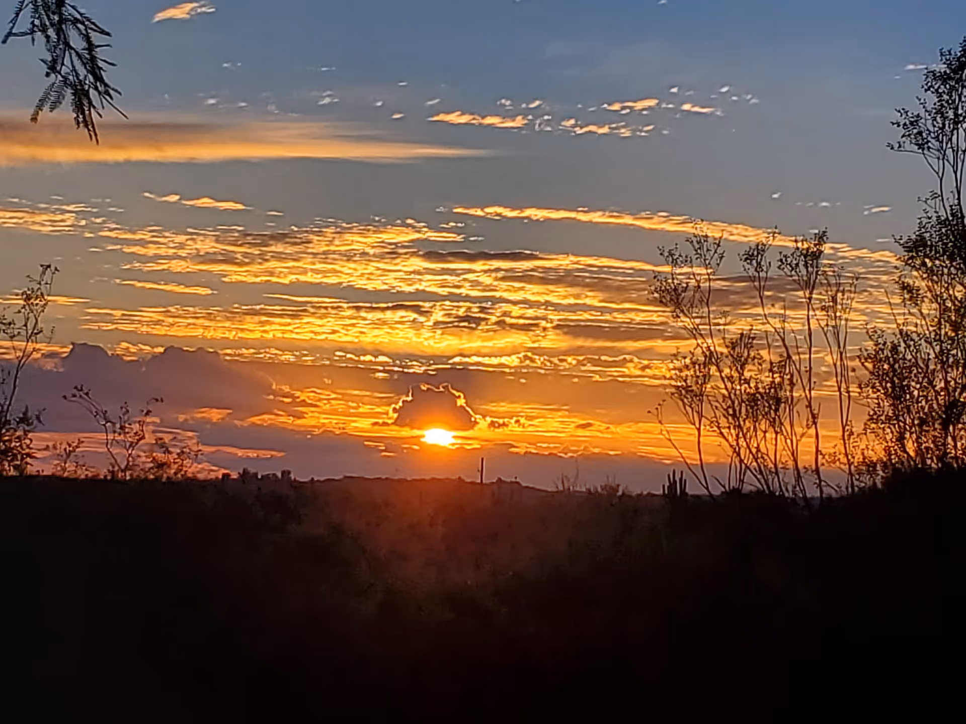 A scenic view of a sunset with the sun partially hidden behind clouds, casting an orange and yellow glow across the sky. Silhouettes of trees and bushes are visible in the foreground.