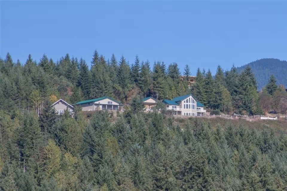 A cluster of houses with green roofs situated on a hillside surrounded by dense evergreen trees under a clear blue sky.