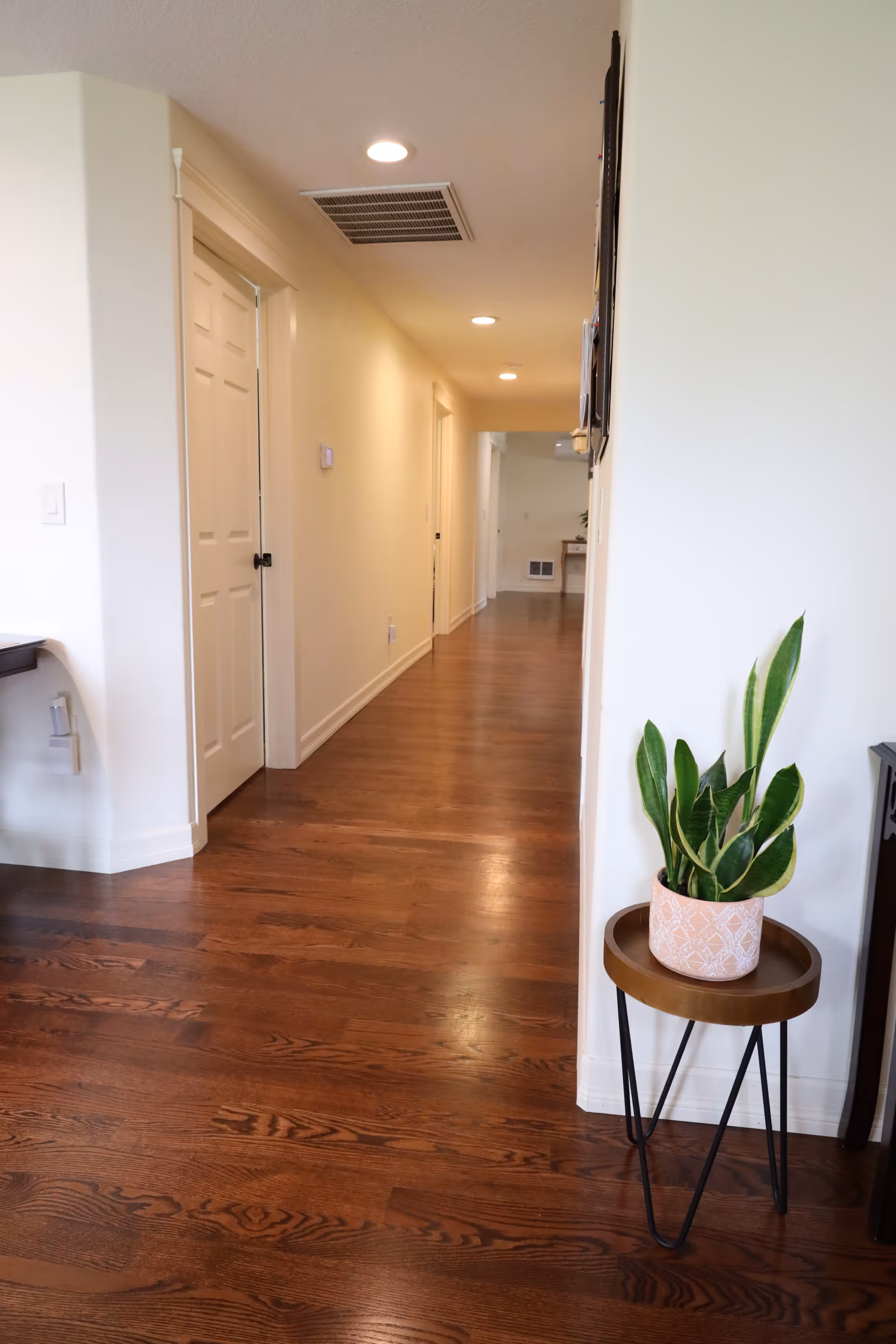 Long wood-floored interior hallway with recessed ceiling lights and a potted plant on a small table.