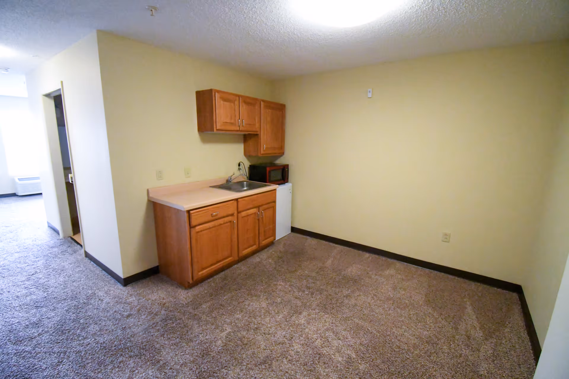 Small studio-style room with a kitchenette featuring wooden cabinets, a sink, a microwave and a mini-fridge.