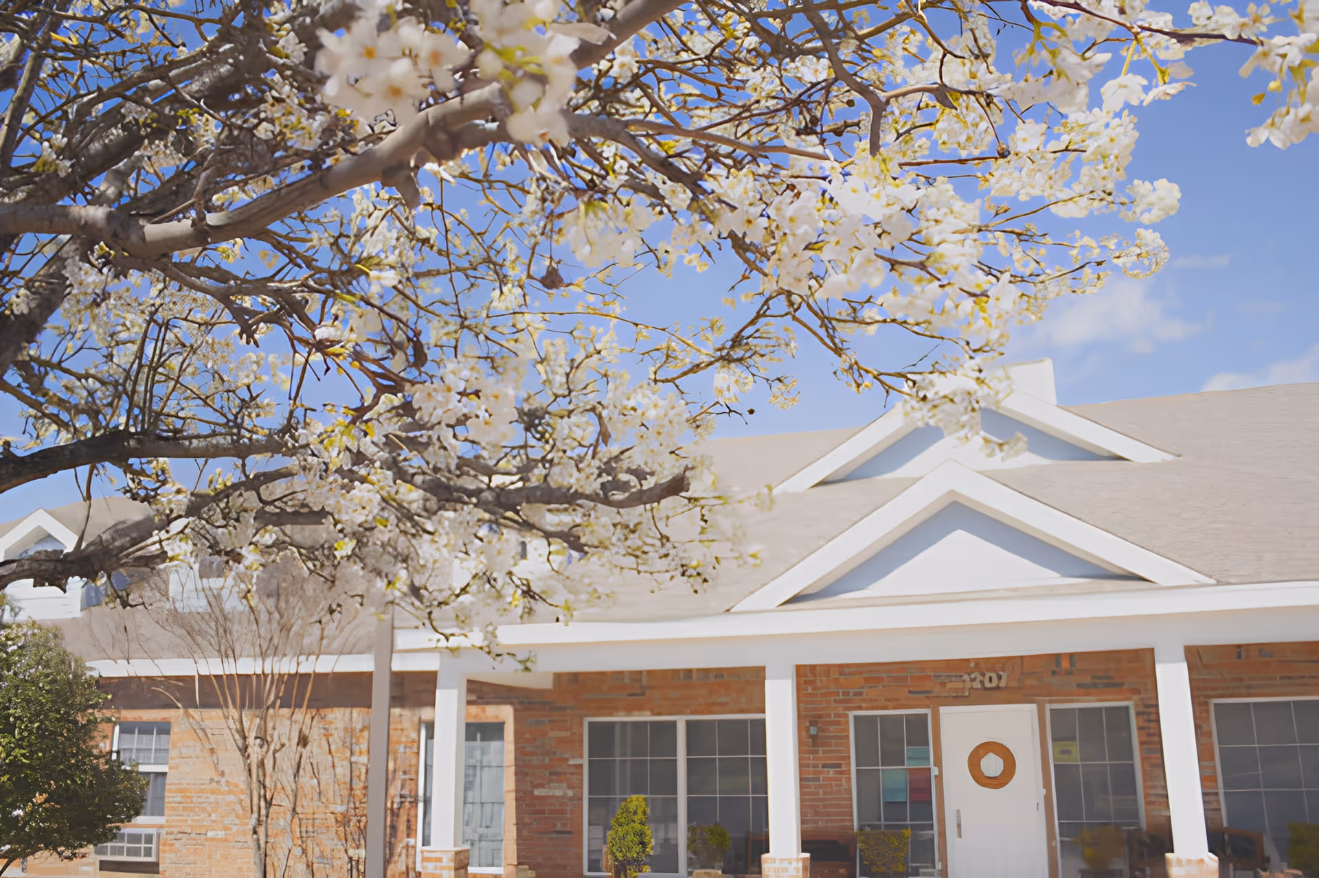 Exterior view of a brick building with white trim and a white door, partially obscured by a tree with white blossoms in the foreground under a clear blue sky.