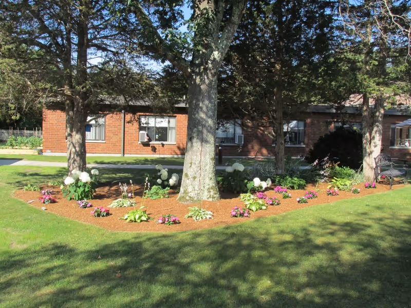 A landscaped garden area with green grass, flower beds containing white and pink flowers, and several large trees. In the background, there is a single-story brick building with windows and air conditioning units. A metal bench is visible on the right side under the trees.
