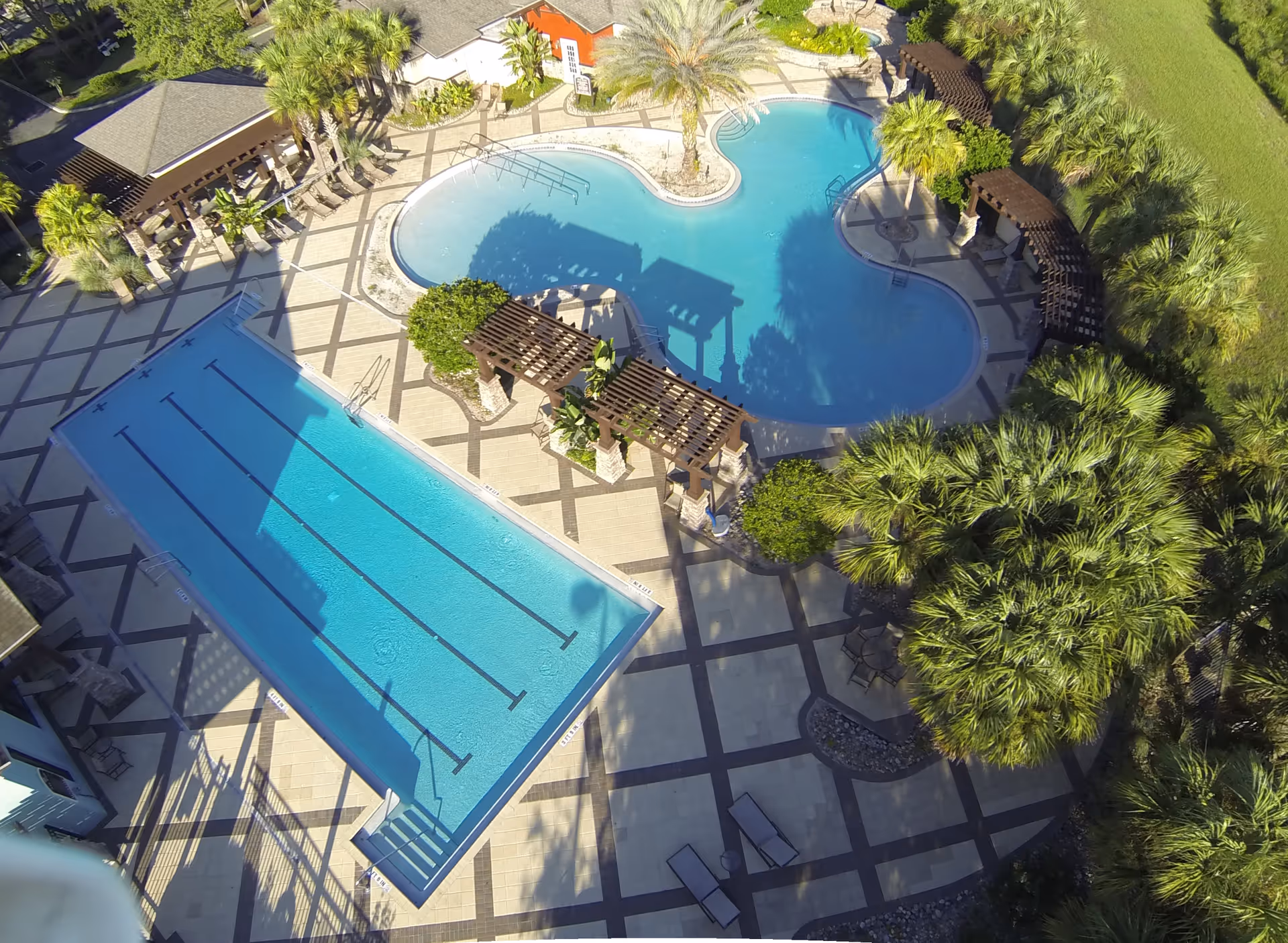Aerial view of an outdoor pool area at Arlington Ridge featuring a rectangular swimming pool with lane markings and a larger irregularly shaped pool surrounded by palm trees, lounge chairs, pergolas, and paved walkways.