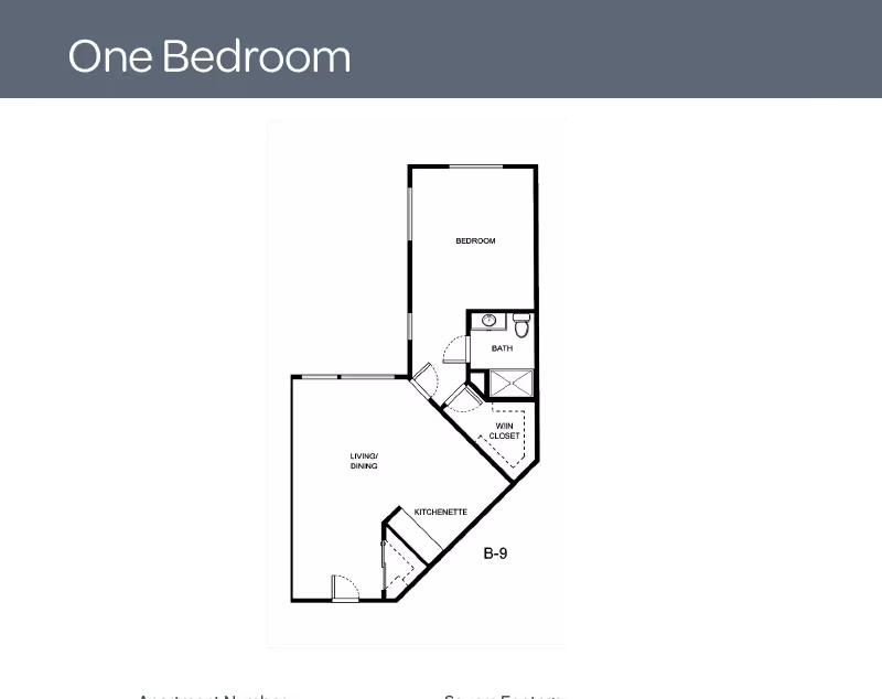 Black-and-white one-bedroom apartment floor plan labeled B-9 showing a bedroom, bathroom with walk-in closet, living/dining area and kitchenette.