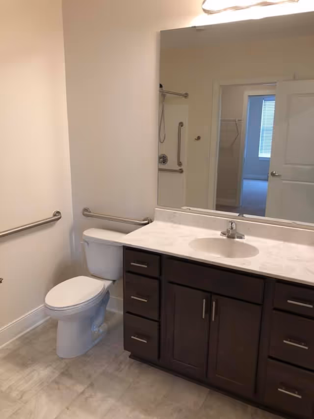 Accessible bathroom with a toilet, dark-wood vanity with sink and large mirror, and wall-mounted grab bars.