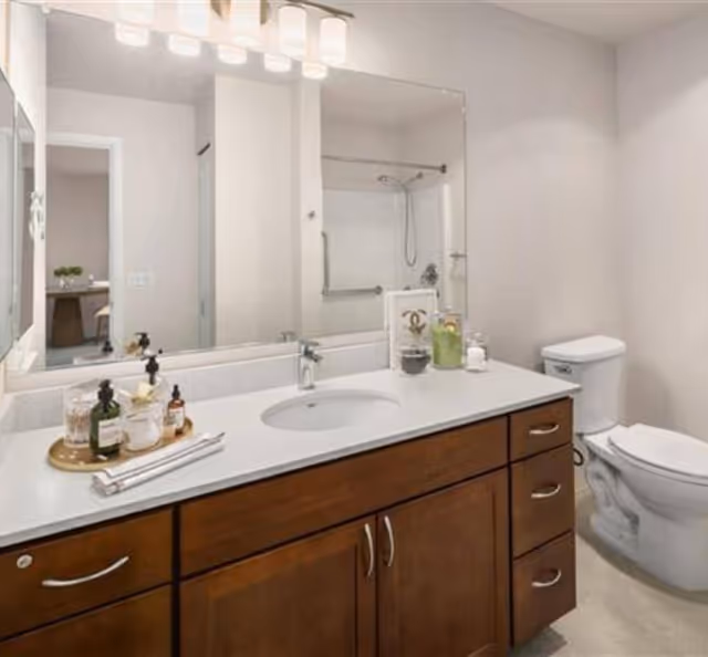 A clean and modern bathroom with a large mirror above a wooden vanity with a white countertop. The countertop has a sink, soap dispensers, and decorative items. In the background, there is a toilet and a shower area with a grab bar and a showerhead.
