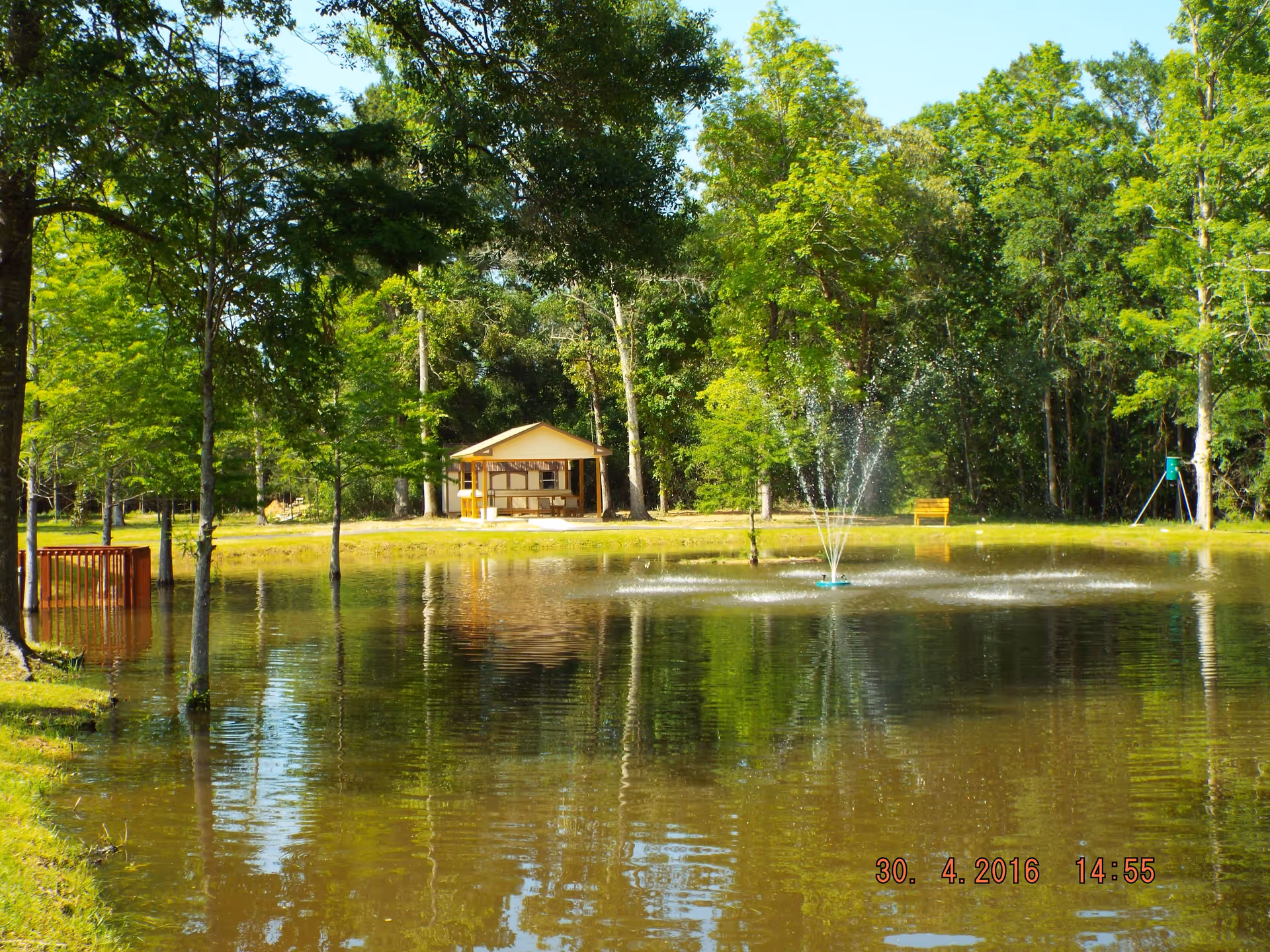 A serene outdoor scene featuring a small pond with a water fountain in the center, surrounded by lush green trees. In the background, there is a small wooden pavilion and a yellow bench near the pond's edge. The sky is clear and blue.