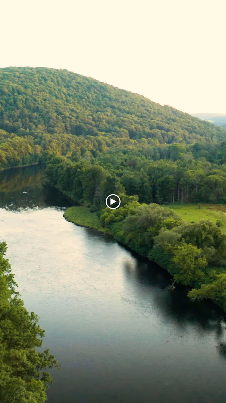 A scenic view of a river winding through a lush green forest with a densely wooded hill in the background under a bright sky.