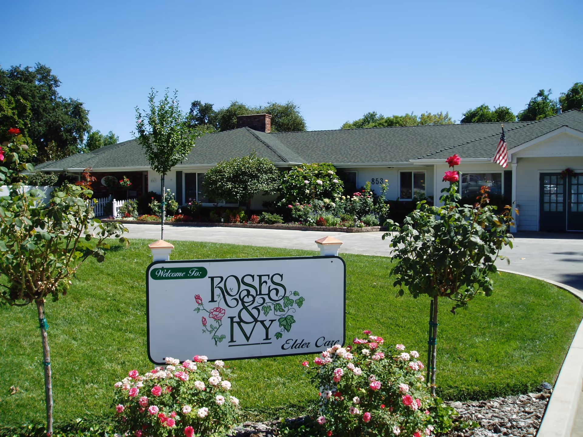 A front lawn with a sign reading "Roses & Ivy" and rose bushes in front of a single-story assisted living building with an American flag.