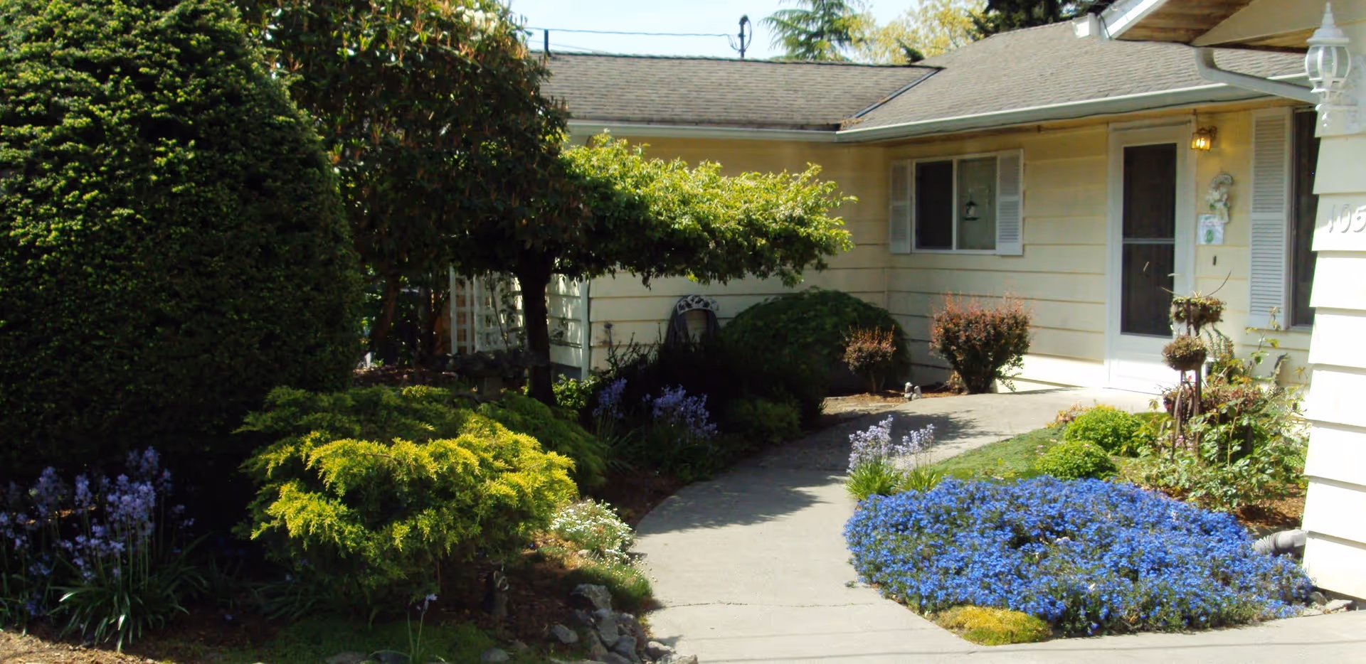 Front walkway and landscaped garden leading to the entrance of a single-story house.