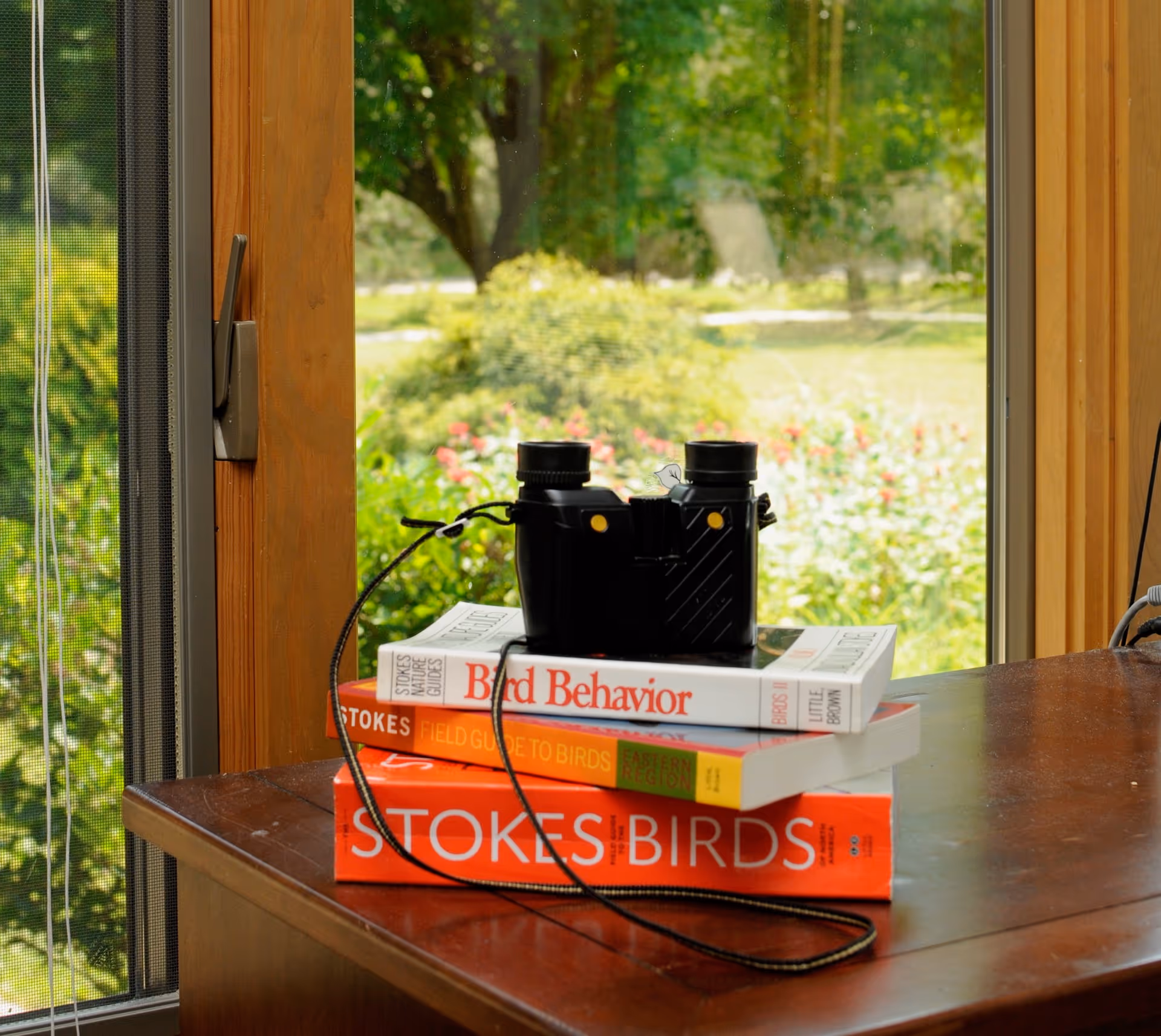 Binoculars resting on a stack of birding books on a wooden table beside a window overlooking a garden.