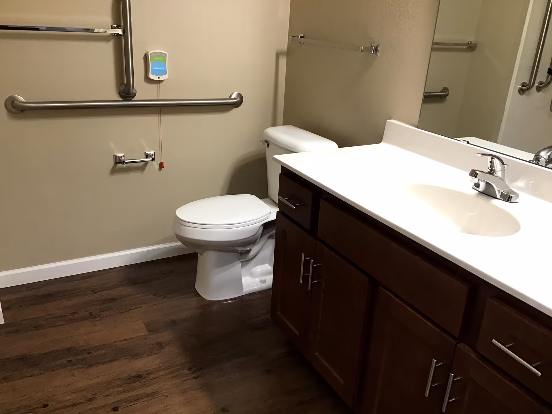 Accessible bathroom with a toilet, vanity sink, grab bars, and wood-look flooring.