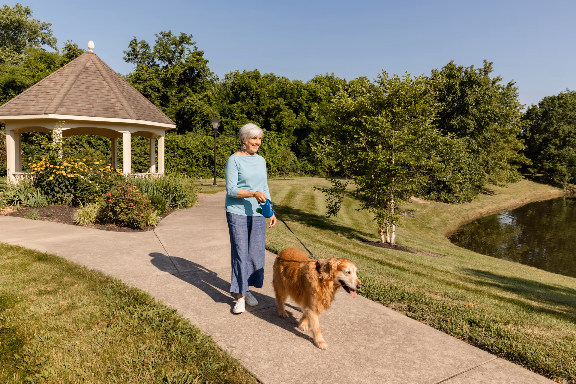An elderly woman walking a golden retriever dog on a leash along a paved pathway in a park-like setting with green grass, trees, a pond, and a gazebo in the background under a clear blue sky.
