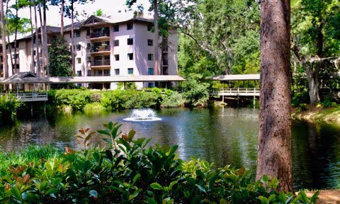 A serene outdoor scene featuring a pond with a small fountain in the center, surrounded by lush greenery and tall trees. In the background, there is a multi-story residential building partially visible through the trees.