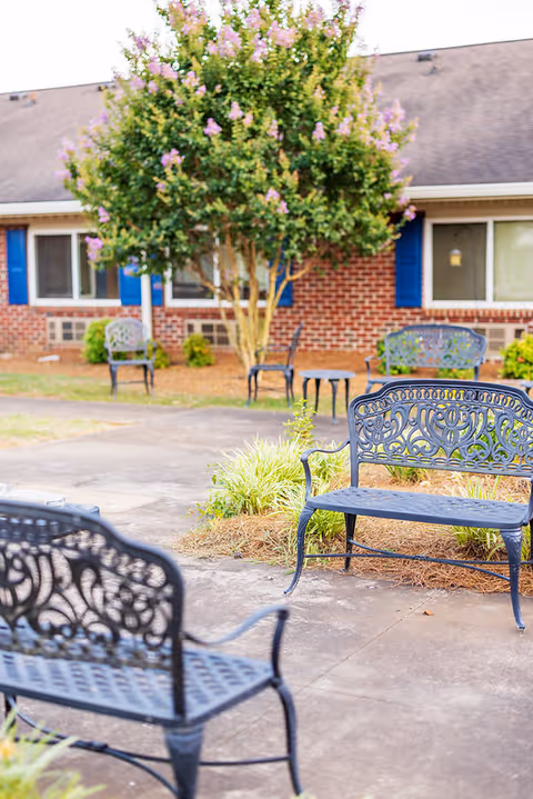 Outdoor patio area with decorative metal benches and chairs arranged on a concrete surface. A flowering tree and some small bushes are planted near the seating area. In the background, there is a brick building with blue window shutters and windows.