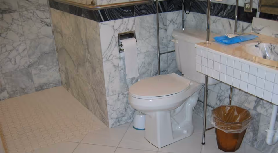 Marble-tiled bathroom with a toilet, sink and countertop, wall-mounted toilet paper holder and a small trash can.