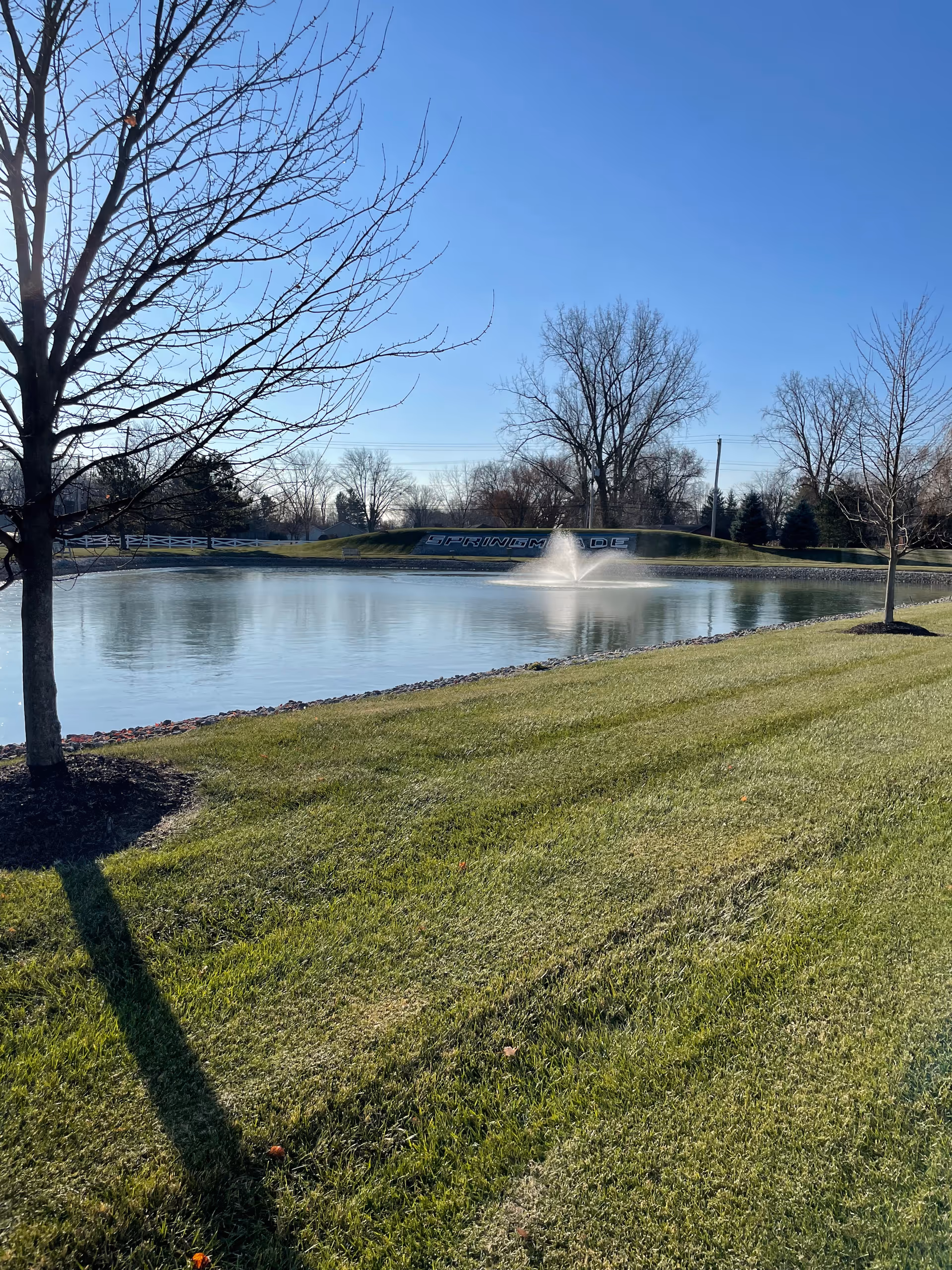 A peaceful outdoor scene featuring a small pond with a water fountain in the center, surrounded by green grass and leafless trees under a clear blue sky. In the background, there is a sign that reads 'SPRINGMADE'.