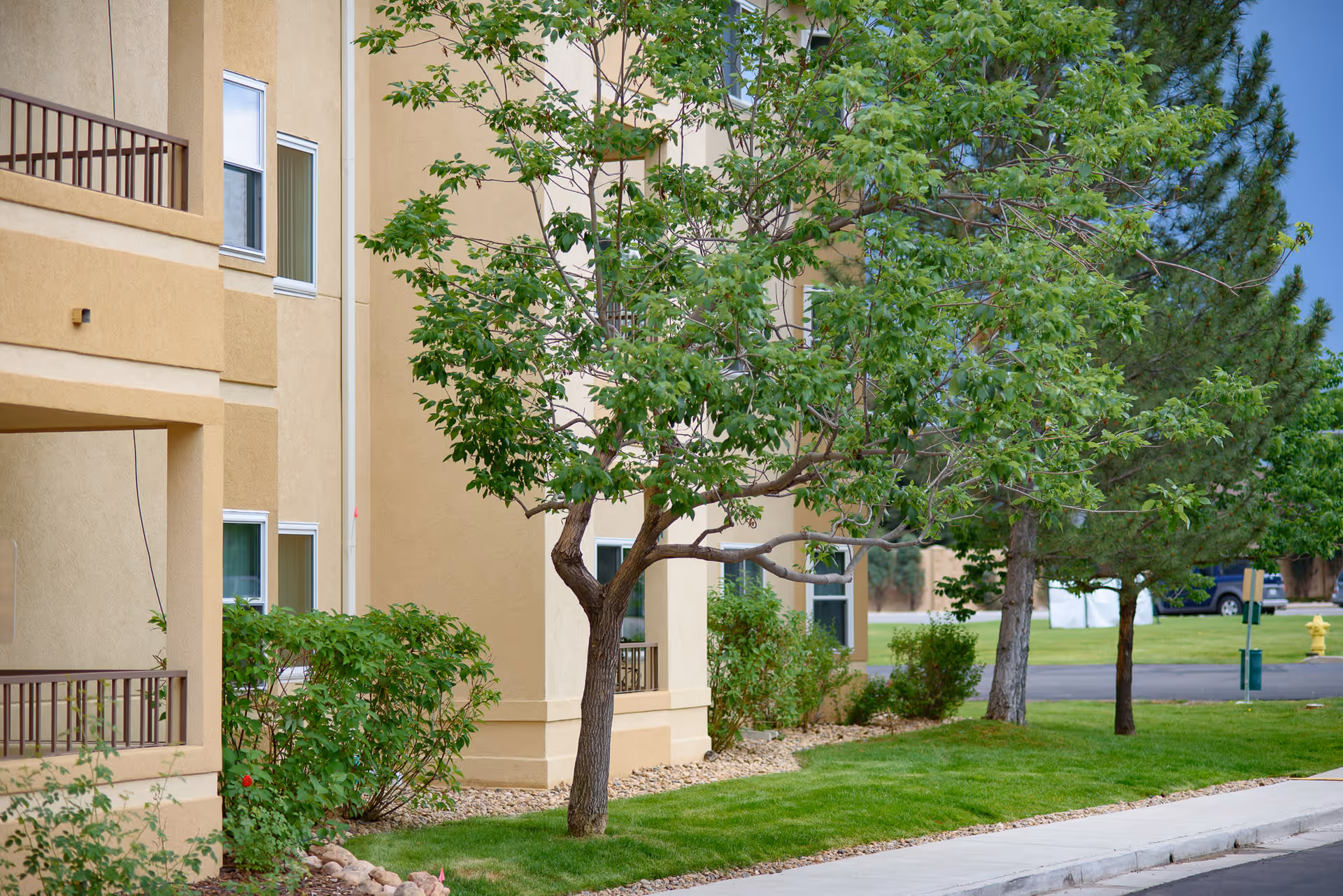 Exterior view of a beige multi-story building with several windows and balconies, surrounded by green trees, bushes, and a well-maintained lawn next to a sidewalk and a paved road.