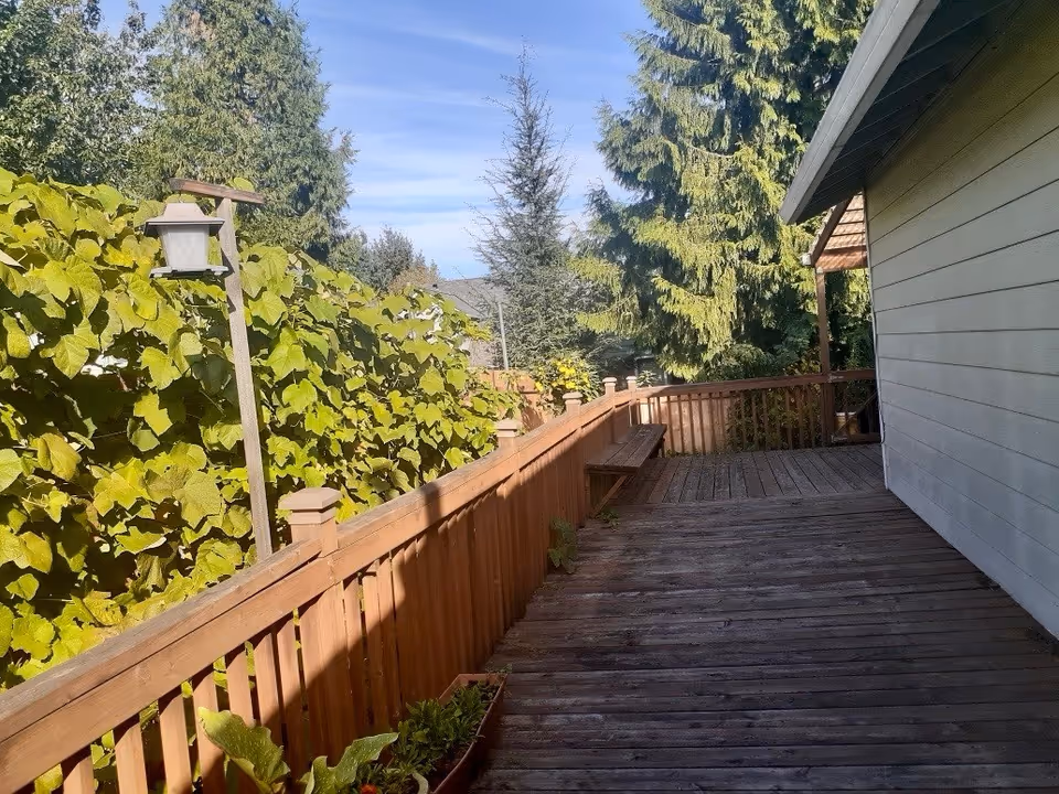 Wooden deck and railing alongside a house with a bench, a post lantern, and trees and shrubs in the background.