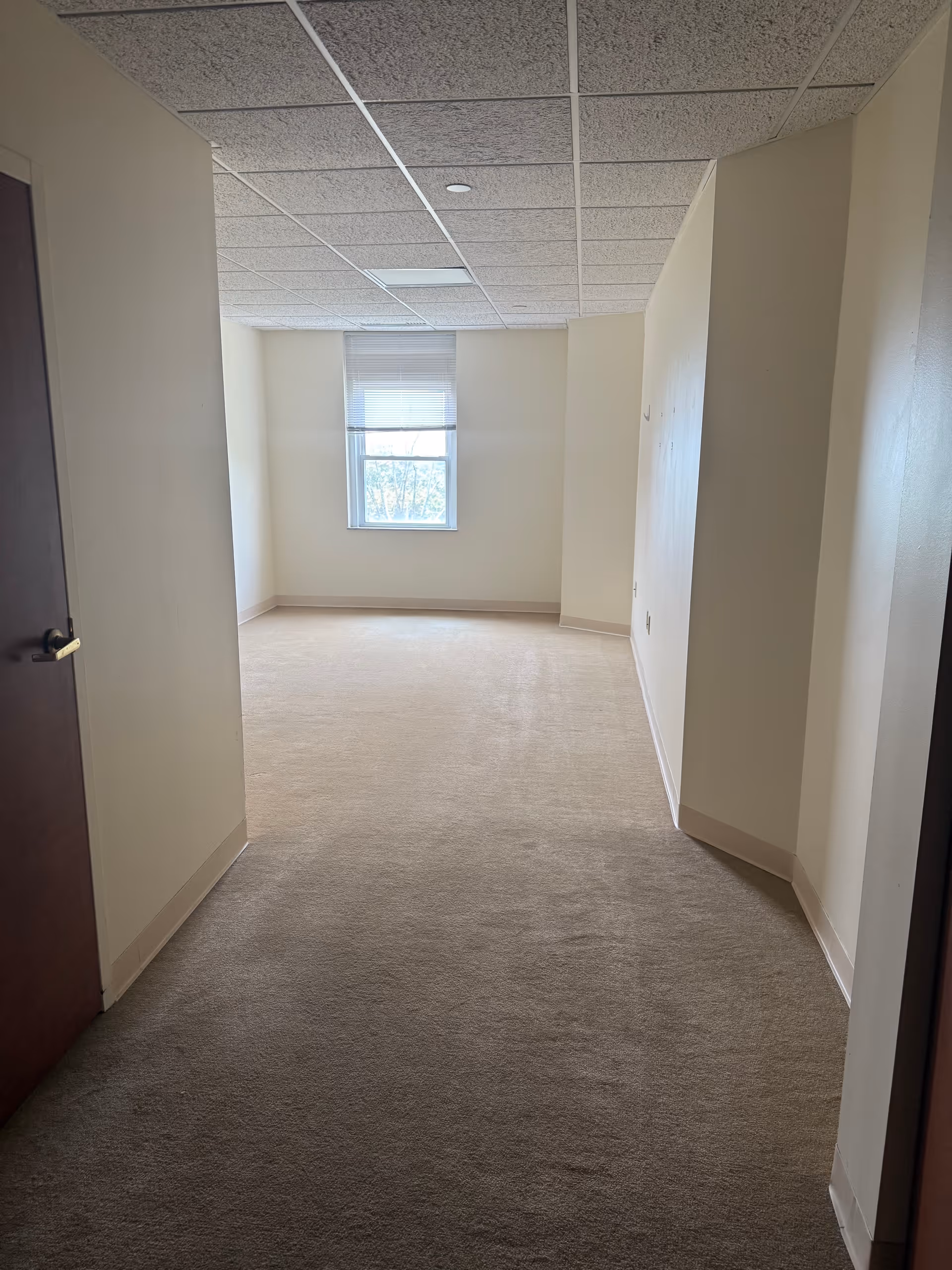 Empty room with beige carpet and cream-colored walls, a window with blinds letting in natural light, and a closed wooden door on the left side.