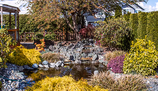 Landscaped backyard garden with a small pond and rock waterfall surrounded by shrubs, ornamental grasses, and a pergola with houses visible behind.