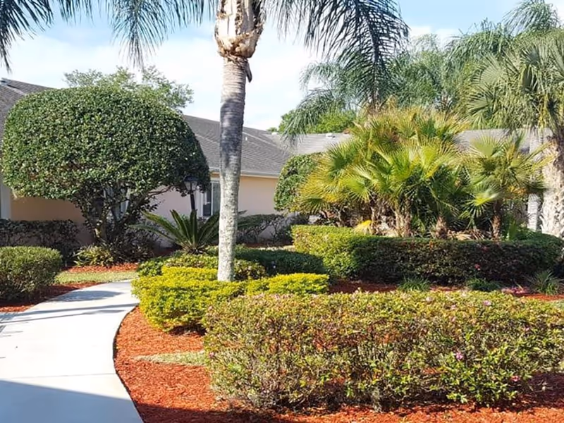 Landscaped courtyard with a paved walkway, trimmed hedges, and palm trees in front of a single-story building.