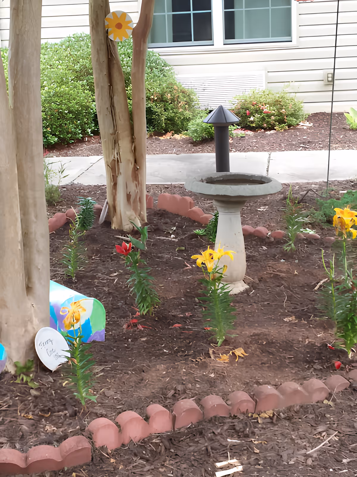 A small garden area with a birdbath in the center, surrounded by young flowering plants and trees. The garden is bordered by a low, curved brick edging. In the background, there is a sidewalk and a building with windows and beige siding.