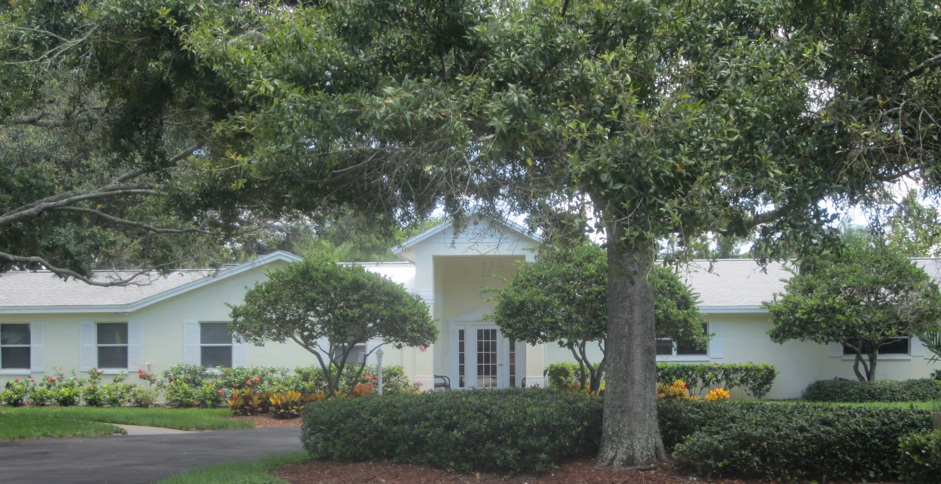 Front exterior view of a single-story building with light yellow walls and white shutters, surrounded by well-maintained bushes, small trees, and a large tree in the foreground.