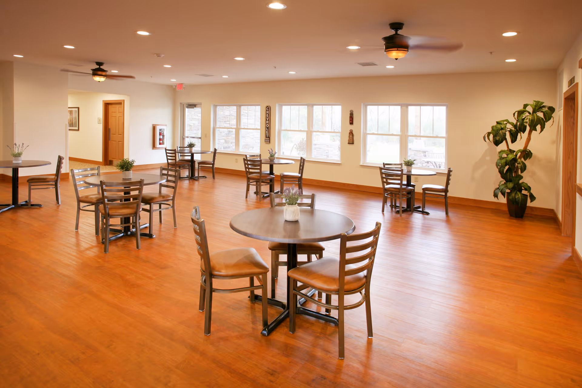 A spacious dining area with several round wooden tables and chairs arranged neatly on a polished wooden floor. The room has large windows letting in natural light, ceiling fans, and small potted plants on each table. There is a large potted plant in the corner and light-colored walls.