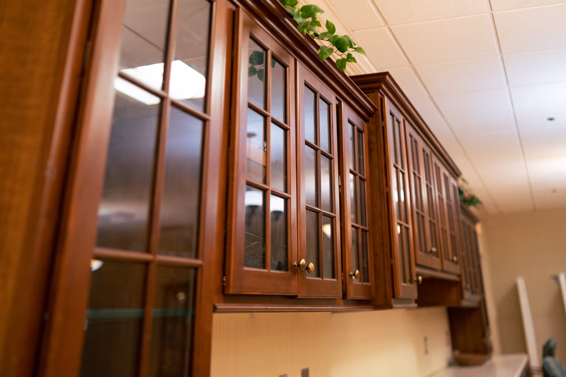 A row of wooden kitchen cabinets with glass-paneled doors mounted on a wall under a white tiled ceiling, with some green plants placed on top of the cabinets.