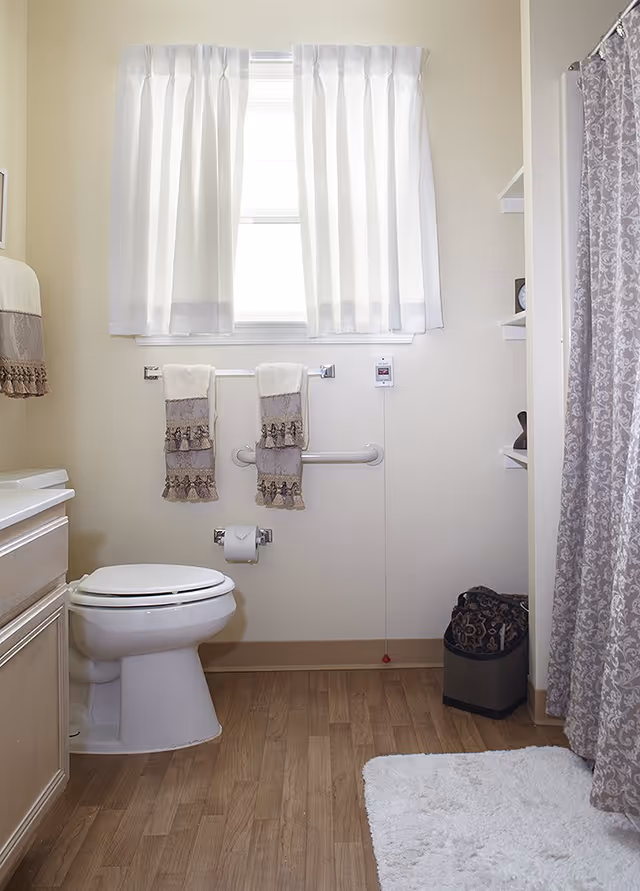 Bright accessible bathroom with a toilet, grab bar, patterned shower curtain, window with white curtains, and decorative towels.